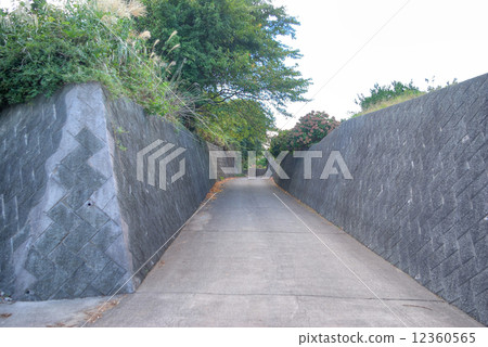Landscape from Ishigakiyama Kanbaku farm road Odawara City Kanbaku farm road surrounded by stone blocks 12360565