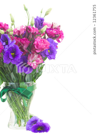 bouquet of violet and mauve eustoma flowers bouquet of violet and mauve eustoma flowers 12361755