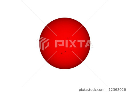 Sunflower (without frame) 12362026