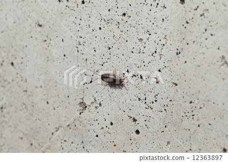 Fukushima Fukushima 12363897