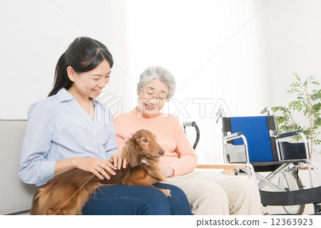 Stock Photo: animal therapy, person, women