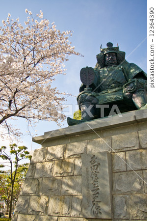 Spring的武田信玄青森 12364390