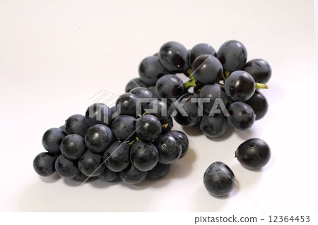 Grape (Nagano Purple and Fuji Minori) 12364453