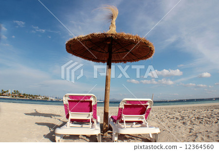 Island of Paradise Island of Paradise 12364560