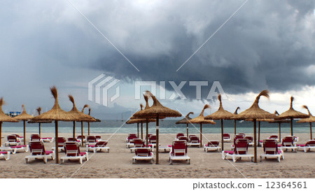 Arashi's visit Arashi's visit 12364561