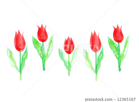 逗人喜愛的手寫水彩白色backcut標示用鬱金香春天花植物排行了綠色綠色充分的開花花園春天花花床4月自然 12365107