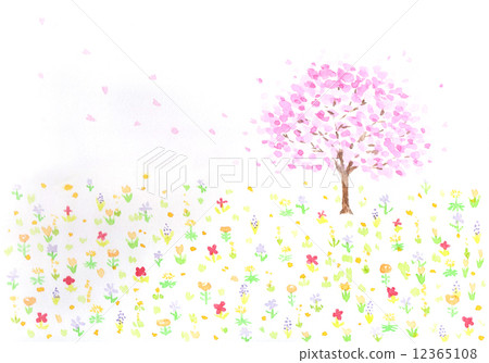 Spring cherry tree Yoshino cedar Tulip April flower garden field flower wild flower peach color cute watercolor red outdoor sky copy space full bloom Cherry blossom event Annual event warm blooming colorful colorful scenery background 12365108