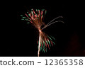 Butterfly type fireworks of Hakodate Yu no River hot spring firework display 12365358