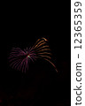 Squid style fireworks of Hakodate Yu no River hot spring firework display 12365359