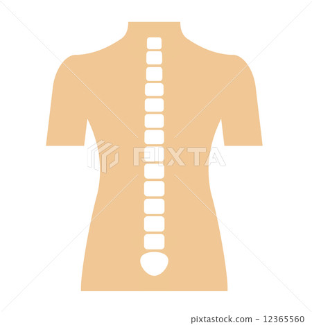 spine 12365560