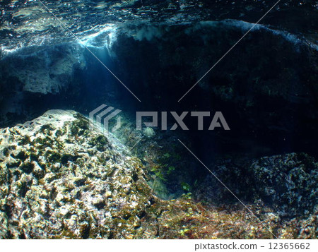 Okinawa Kerama island national park ocean topography diving 12365662