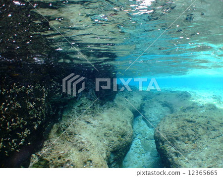 Okinawa Kerama islands national park ocean topography diving coral 12365665