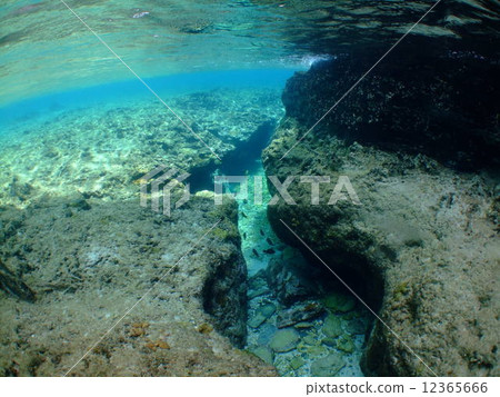 Okinawa Kerama island national park ocean topography diving 12365666