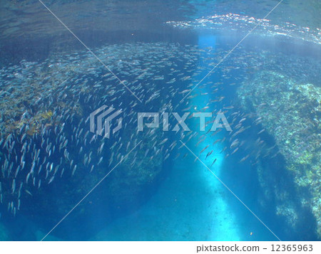沖繩島克拉瑪群島國家公園海口國家地貌Kibinago 沖繩島克拉瑪群島國家公園海口國家地貌Kibinago 12365963