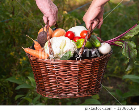 vegetables 12366169