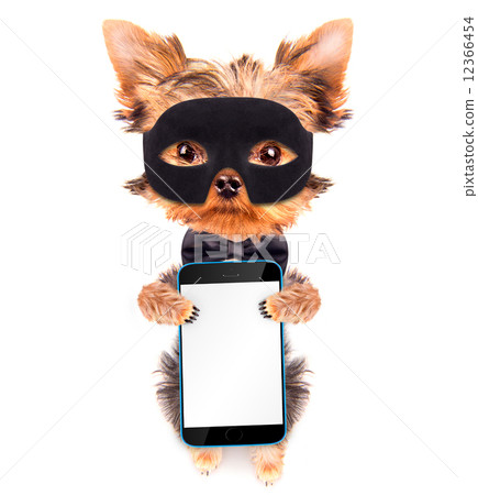 super hero puppy dog with phone 12366454