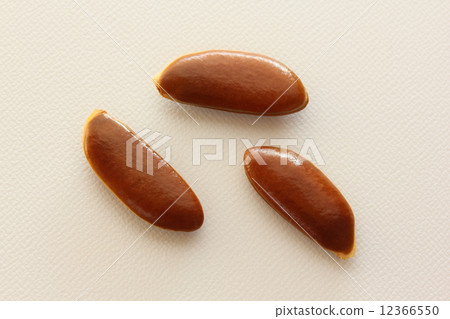 Species (persimmon) 12366550