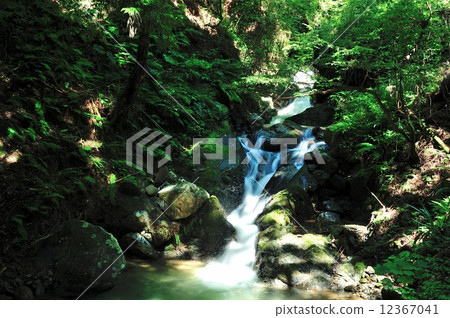 京都樂北貴船川上游 12367041