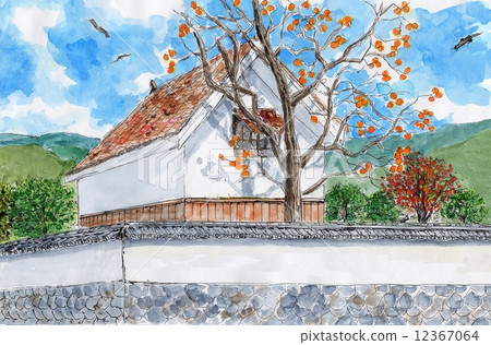 Kura and persimmon trees Kura and persimmon trees 12367064