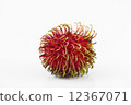 Rambutan 12367071