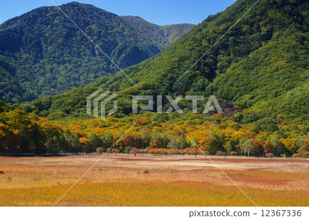 Odashihara的草葉_ 01 12367336