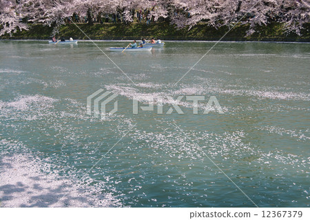Hirosaki Cherry Blossom Festival 12367379