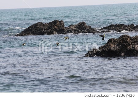 奧巴託海 12367426