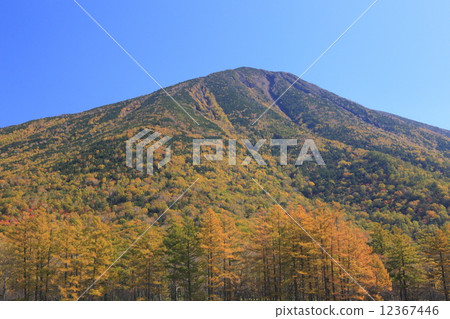 Male mountain in autumn 12367446