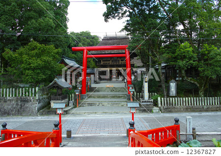 Aoi Aso Shrine 12367827
