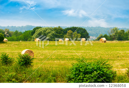 Haystacks on the field 12368058