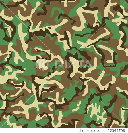Seamless green, yellow and brown camouflage pattern. 12369708