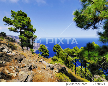 Playas, Hierro Island 12370471