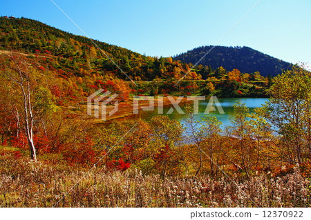 Kureike秋葉 12370922