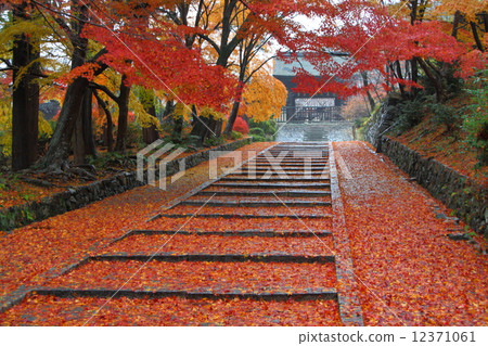 Kyoto Yamashina in autumn · Bishamondo monument 12371061