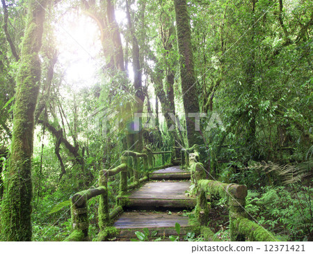 Doi Inthanon National Park 12371421