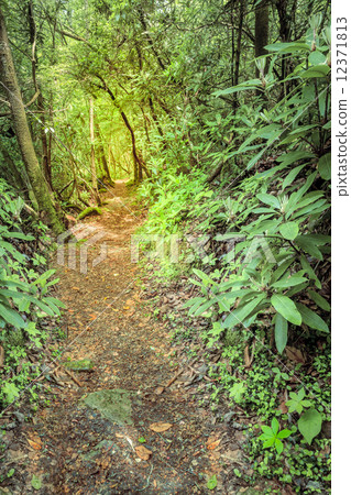 Rugged trail 12371813