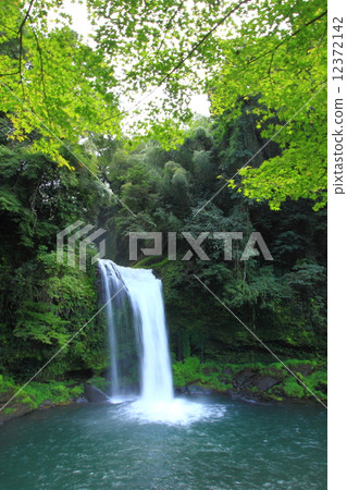 Waterfall of fresh green charity 12372142