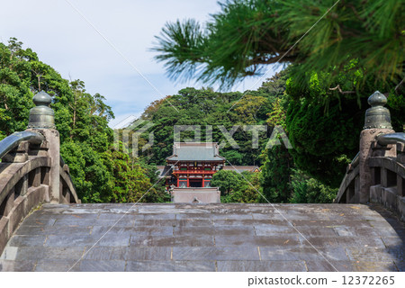 鎌倉鶴岡八幡宮 12372265
