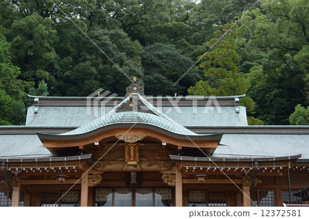Suwa Shrine 12372581