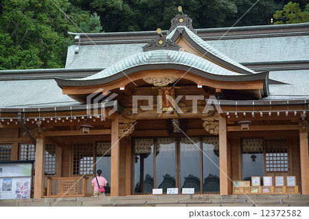 Suwa Shrine Suwa Shrine 12372582