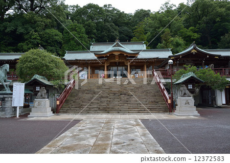 Suwa Shrine Suwa Shrine 12372583