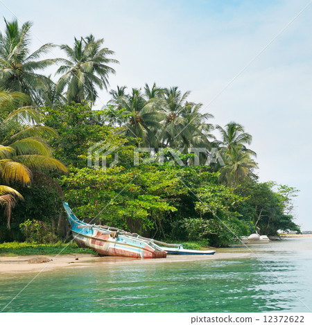 lake, tropical palms and  boat 12372622