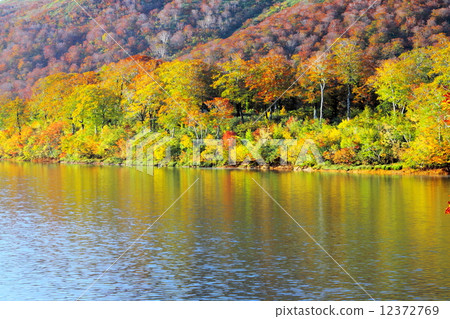 Suegawa湖秋葉 12372769