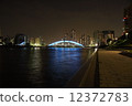 永久橋樑夜視圖 12372783