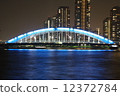 永久橋樑夜視圖 12372784
