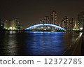永久橋樑夜視圖 12372785