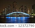 永久橋樑夜視圖 12372790