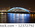 永久橋樑夜視圖 12372792