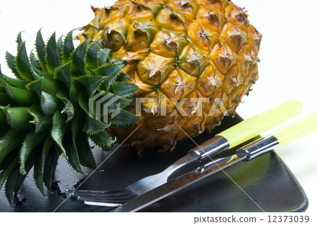 pineapple pineapple 12373039