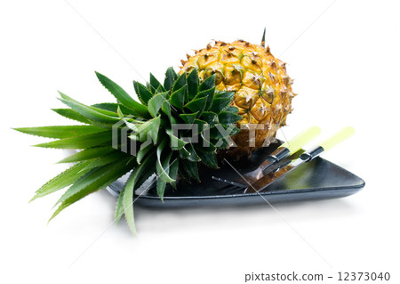 pineapple pineapple 12373040